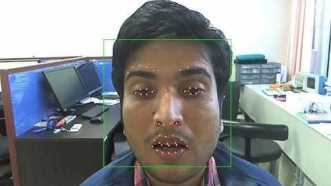 Facial Feature Detection