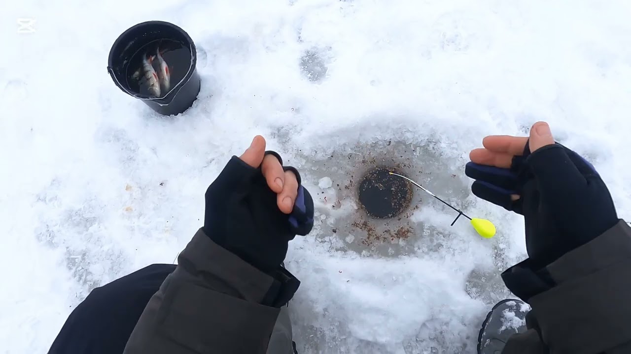 Kārtējā līdaka, bet kā ar vimbām?