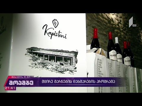 მცირე მარნების დახმარების პროგრამა