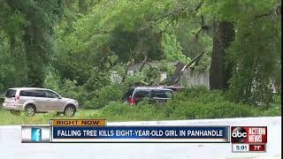 8-year-old girl dies after tree falls on her