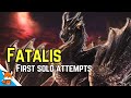 I was determined to take down fatalis solo i got carted over 50 times