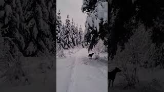 Slovakia walking in TANAP - High Tatras