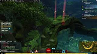 Guild Wars 2: A Fungus Among Us 00:58:880