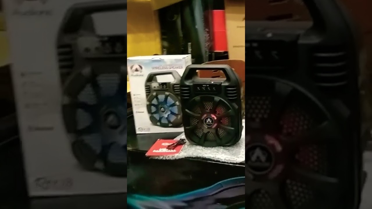 Audionic Rex 18 Portable Speaker Partner for your picnics 