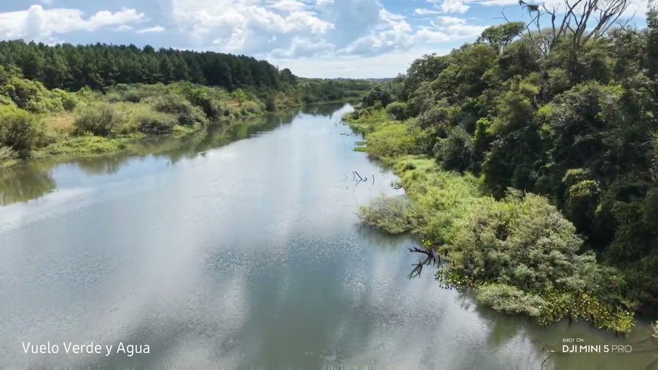 Vuelo entre verde y agua