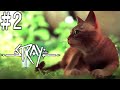 猫の動きが可愛すぎてSNSでトレンド入りした猫が主役の探索ゲームやるぞ！#02(Stray)