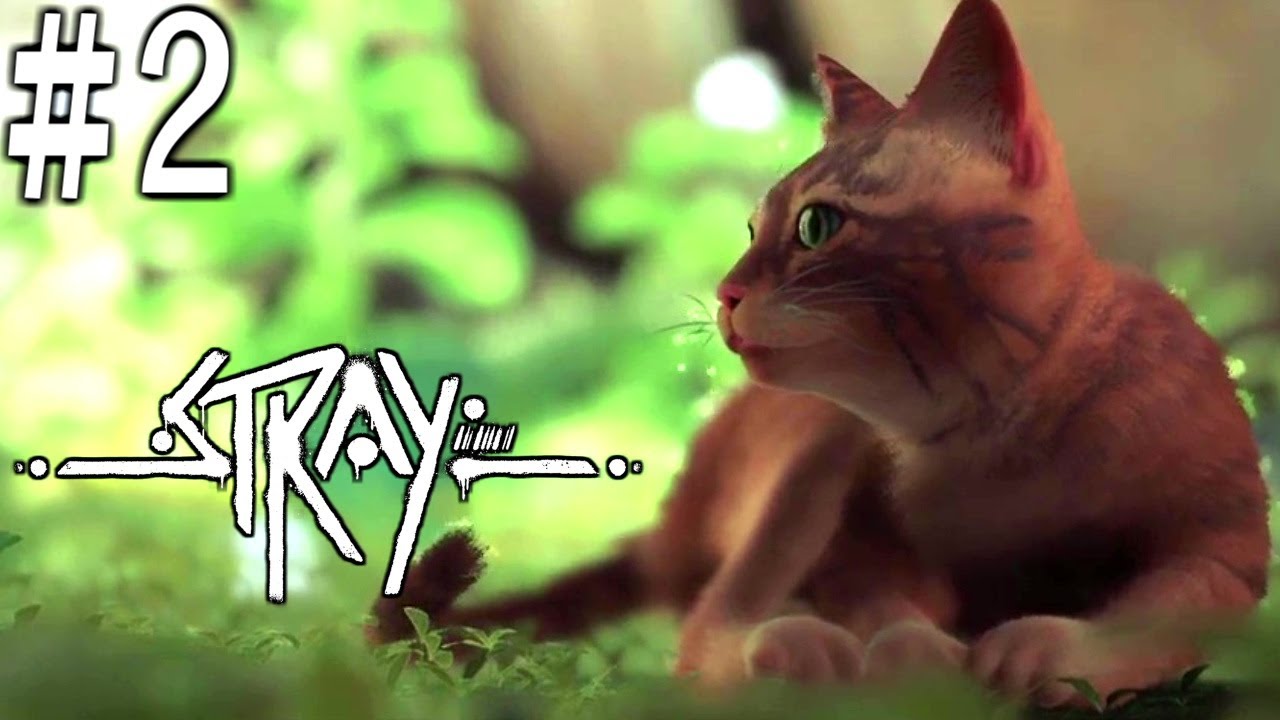 猫の動きが可愛すぎてSNSでトレンド入りした猫が主役の探索ゲームやるぞ！#02(Stray)