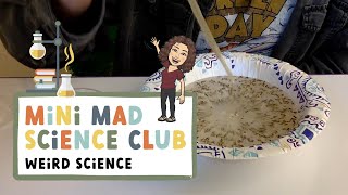 Famous Mini Mad Science Lab: Weird Science Profile