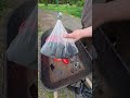 Compost Tea Setup in Under 5 Minutes