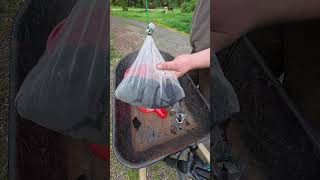 Compost Tea Setup in Under 5 Minutes