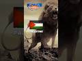 Palestine attitude status 🇵🇸free palestine #shorts #shortsfeed #trending #freepalestine #islam#viral