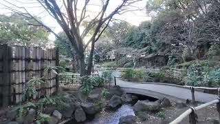 Welcome to this peaceful Zen garden in Yokohama, Japan. 🇯🇵🌿