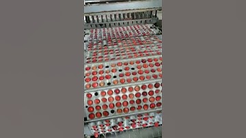 Automatic cherry pitting machine 800-1000kg/h  #machine