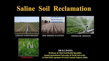 SALINE SOIL RECLAMATION BY DR. P.C.PATEL