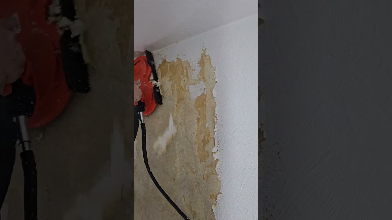 Tapeten entfernen leicht gemacht mit dem Rokamat Chameleon  -  Tapeten abschaben