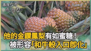 尋找台灣感動力- 台灣之光蜜糖般的金鑽鳳梨 