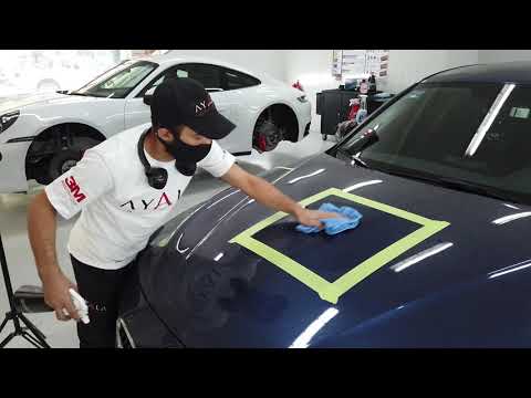 Cómo cuidar la pintura de tu auto - TIPS Caseros - Velocidad Total