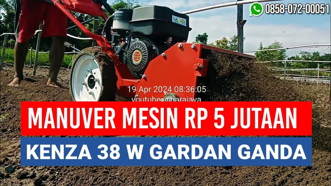 UJI COBA MESIN DANGIR JAGUNG KENZA 38 W PADA BEDENGAN BAWANG MERAH