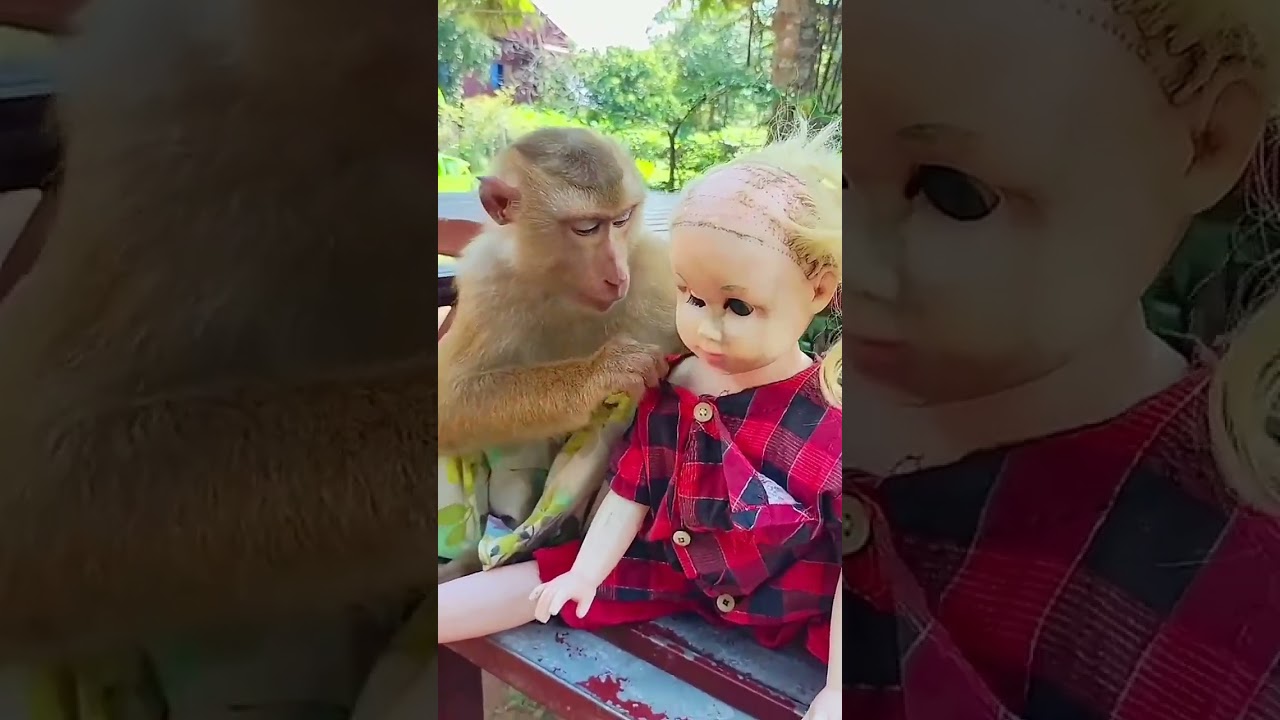 Funny Monkey's Toy Doll - Amazing Animals on TikTok! 