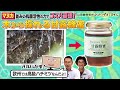 【甘露蜂蜜もナメてません】木から採れるハチミツ？！マヌカ並みの抗菌活性の力なのに低価格な甘露蜂蜜とは！｜山田養蜂場