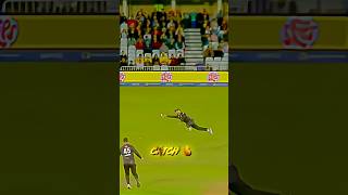 Celebrity Unreal Catch by Phil Salt – Cricket Shock Moment!#shorts Wealth