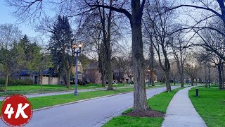 A Walk Through a Quiet Neighborhood at Sunset | Waterloo, Canada | ASMR 4K 60fps