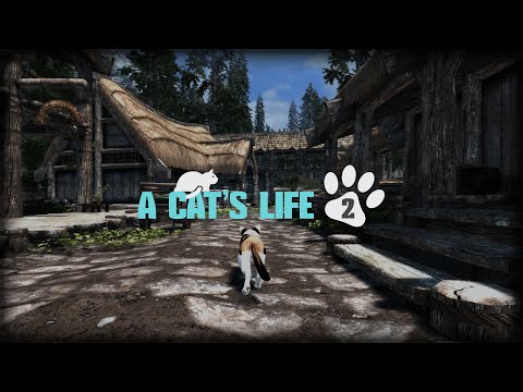 A Cat's Life 2.0 Reveal