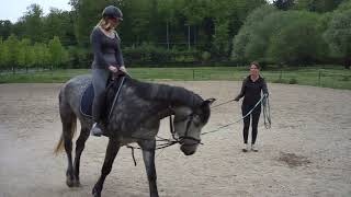 Unsere Erste Reitstunde