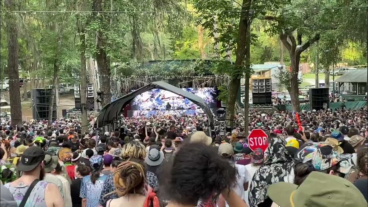 Tipper and Friends 2023 Twilight YouTube