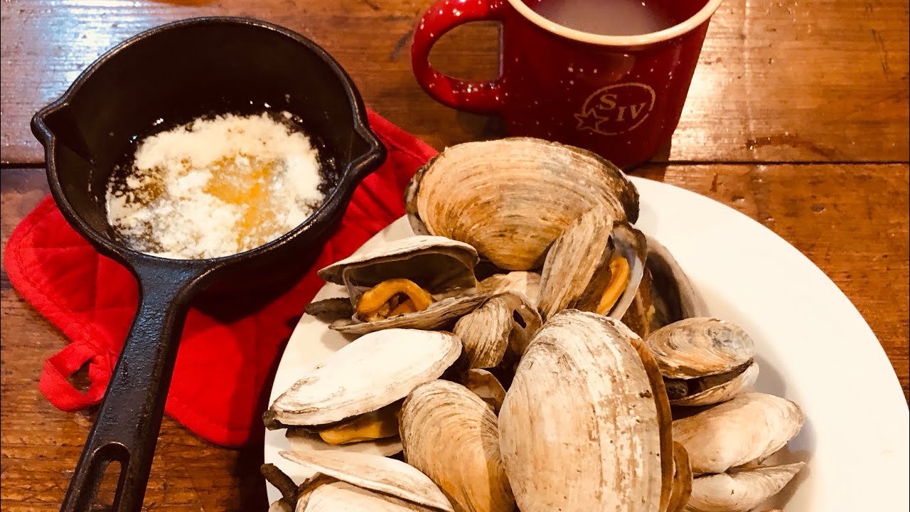 How to steam Maine clams YouTube