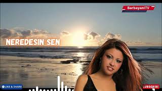 🌺🌺 Neredesin Sen  (Cover 2026) 🌺🌺