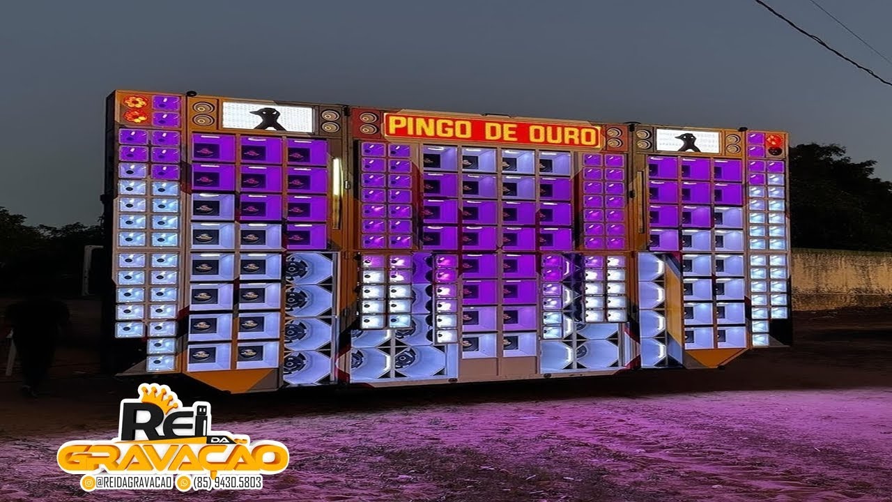 LAGOSTA BRONZEADA RARIDADE TOP - Rei da Gravação