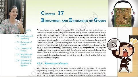 Breathing and Exchange of Gases NCERT Reading | NCERT Class11 BiologyAudiobook|NCERT Biology Class11
