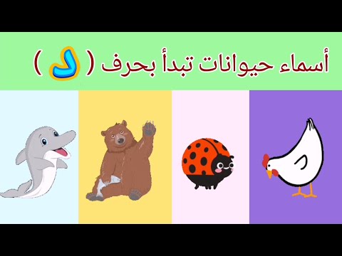 تعليم أسماء حيوانات تبدأ بحرف د          