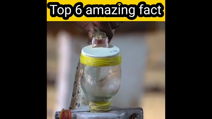 Top 6 amazing fact | #shortvideo #facts #shorts