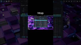 htop #commande #linuxcommandlinetutorial #kali