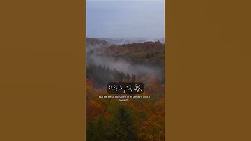 تلاوه خاشعه