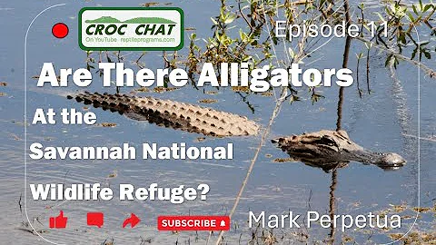 Savannah National Wildlife Refuge