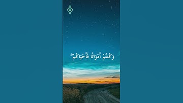 فارس عباد | سورة البقرة | الآية 28