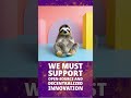 AI Loves, the Sloth Life