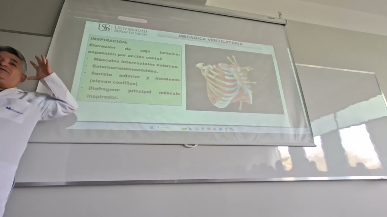 Fisiologia II teórico - Sistema respiratorio (volúmenes y presiones)