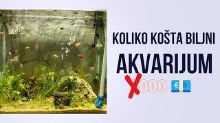 KOLIKO KOŠTA BILJNI AKVARIJUM od 200+ LITARA??