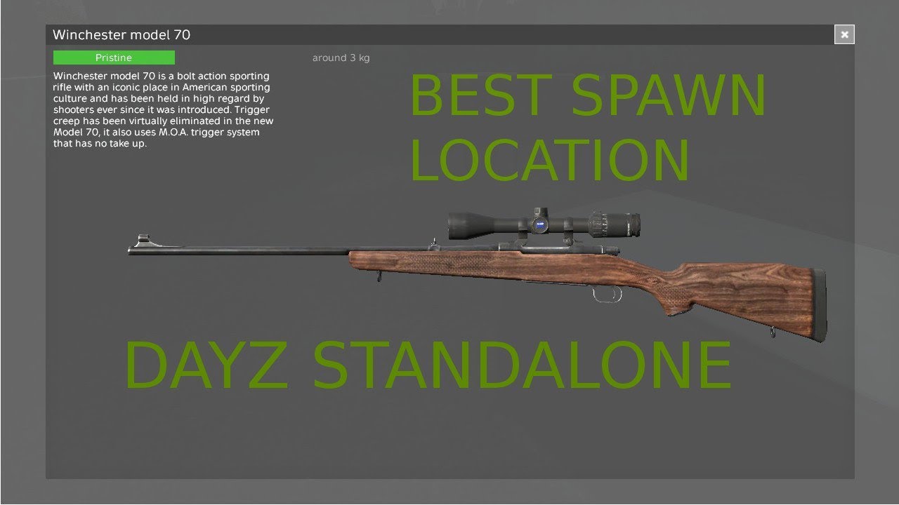 Иж 70 dayz