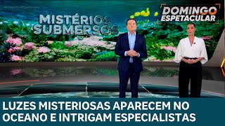 Luzes misteriosas no Oceano intrigam especialistas; entenda | DOMINGO ESPETACULAR