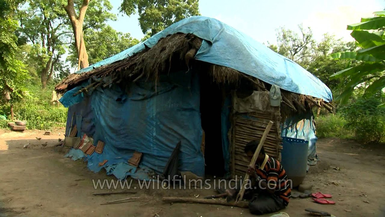 Pastoral life of South Indian Tribals: Neighbours of tree house dwellers
