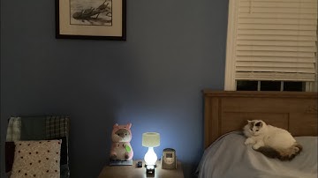 Tiny Tidy Tuesday: Readdressing My Simplified Spaces with @TheHelpfulHome  #declutter #simplify