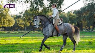 The majesty of the Lusitanos | RIDE presented by Longines