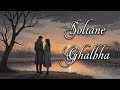 Soltane Ghalbha Aref Without Music