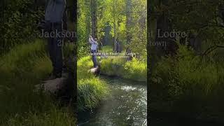 Comment LODGE for more info @LathamJenkinsRealEstate