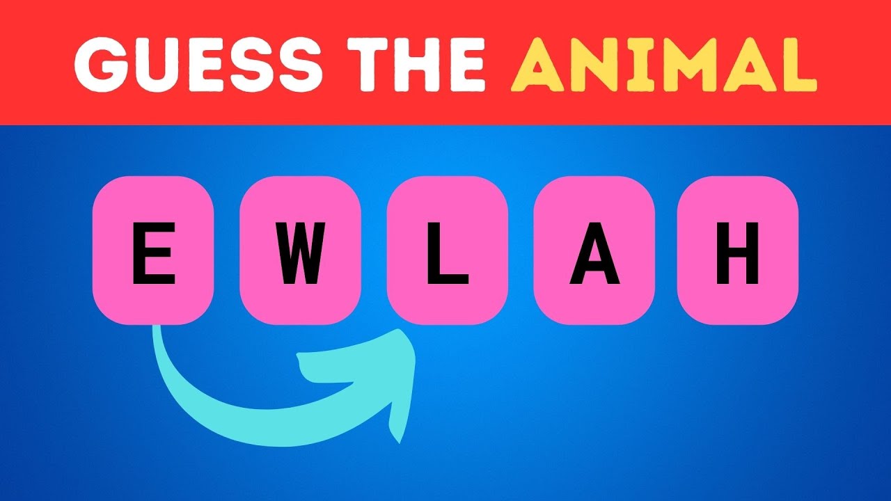 Can You Guess The Animal From Scrambled Letters? | Scrambled Word Game #9| 